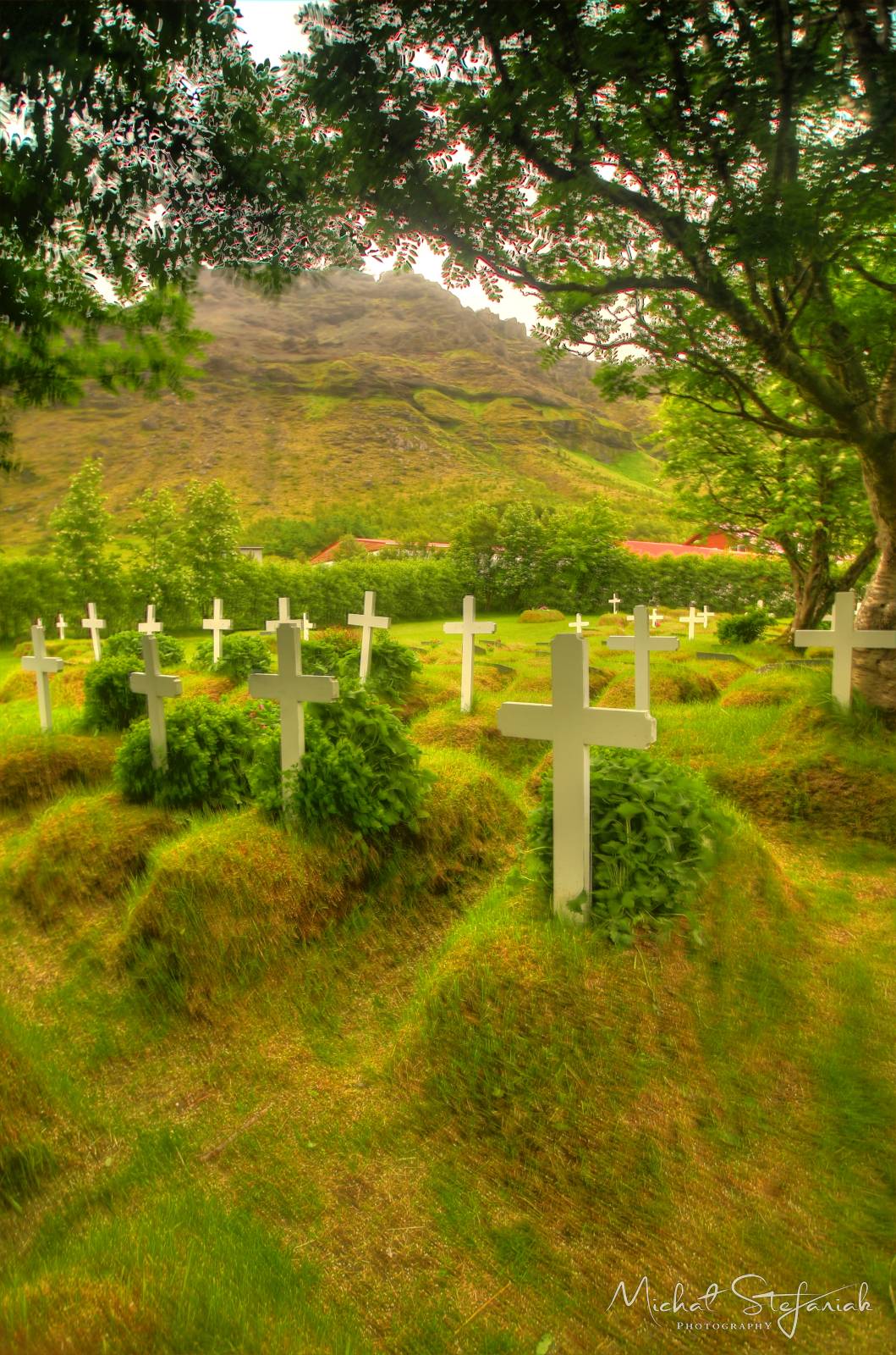 434 IMG 3975 6 7Enhancer